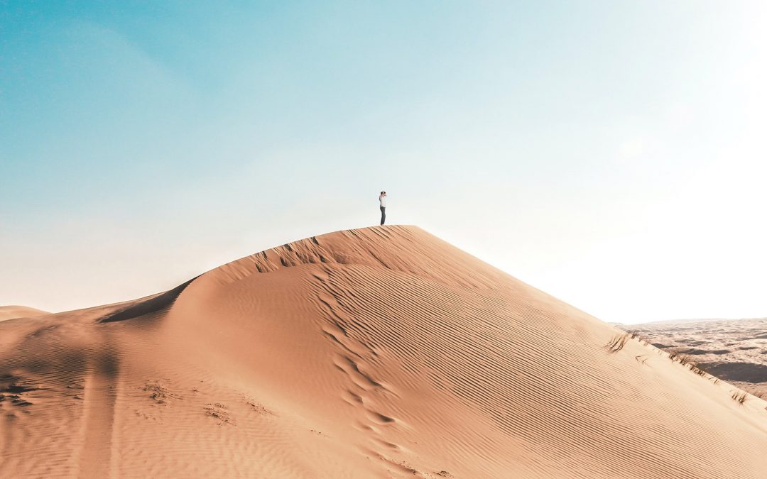 Notes from the Wilderness