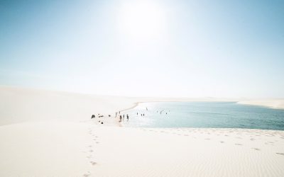 Staying Sane in an Insane World